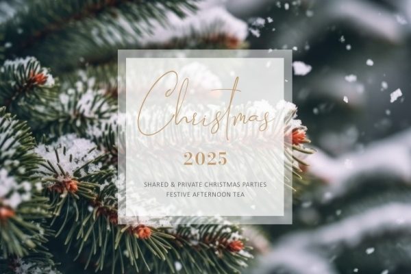 Christmas Brochure 600x400